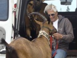 2e1ax_greenie_module_max_moritz_640